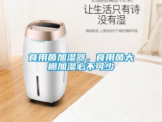知识百科食用菌加湿器，食用菌大棚加湿必不可少