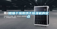 腊肠干燥用烘干除湿机的优点