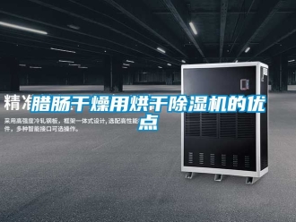 行业新闻腊肠干燥用烘干除湿机的优点
