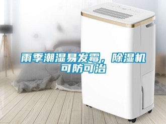 知识百科雨季潮湿易发霉，除湿机可防可治