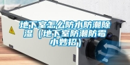 地下室怎么防水防潮除湿（地下室防潮防霉小妙招）