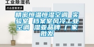 精密恒温恒湿空调 实验室 档案室风冷工业空调 湿亚品牌 厂家批发