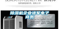 除湿机企业进军电子商务