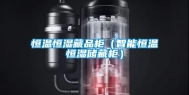 恒温恒湿藏品柜（智能恒温恒湿储藏柜）