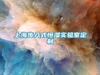 知识百科上海步入式恒湿实验室定制