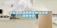 非标准除湿器的定制以及除湿器类型