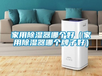 行业新闻家用除湿器哪个好（家用除湿器哪个牌子好）