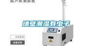 墙壁潮湿有虫子