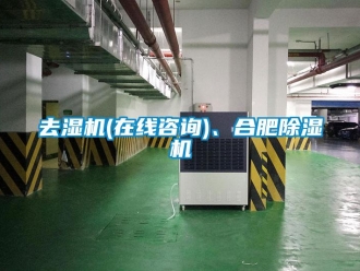 行业新闻去湿机(在线咨询)、合肥除湿机