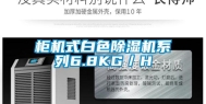 柜机式白色除湿机系列6.8KG／H