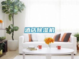 行业新闻酒店除湿机