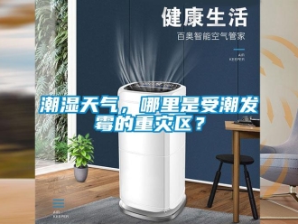 企业新闻潮湿天气，哪里是受潮发霉的重灾区？