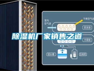 企业新闻除湿机厂家销售之道