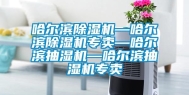 哈尔滨除湿机—哈尔滨除湿机专卖—哈尔滨抽湿机—哈尔滨抽湿机专卖