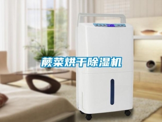 行业新闻蕨菜烘干除湿机