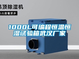 常见问题1000L可编程恒温恒湿试验箱武汉厂家