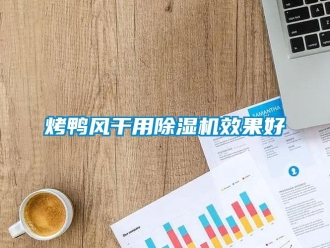行业新闻烤鸭风干用除湿机效果好