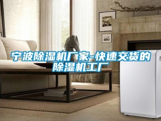 企业新闻宁波除湿机厂家-快速交货的除湿机工厂