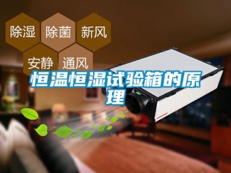 知识百科恒温恒湿试验箱的原理