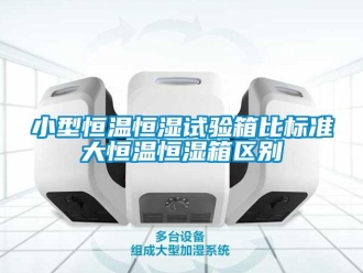 知识百科小型恒温恒湿试验箱比标准大恒温恒湿箱区别