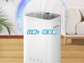 企业新闻分析：除湿机