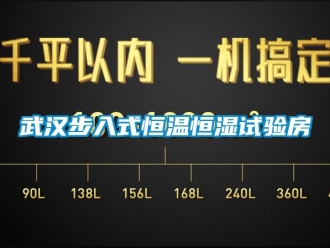 知识百科武汉步入式恒温恒湿试验房