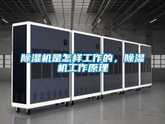行业新闻除湿机是怎样工作的，除湿机工作原理