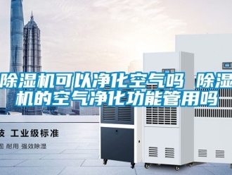 行业新闻除湿机可以净化空气吗 除湿机的空气净化功能管用吗