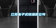 江苏电子式恒湿器公司