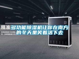 企业新闻多功能除湿机让你在南方的冬天里笑着活下去