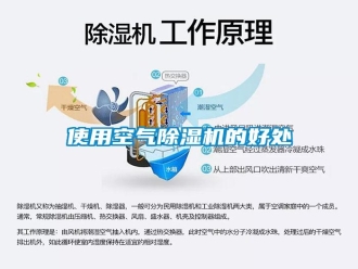知识百科使用空气除湿机的好处