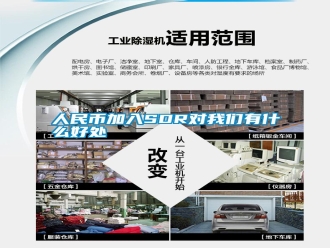 行业新闻人民币加入SDR对我们有什么好处