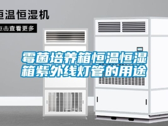 知识百科霉菌培养箱恒温恒湿箱紫外线灯管的用途