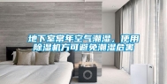 地下室常年空气潮湿，使用除湿机方可避免潮湿危害