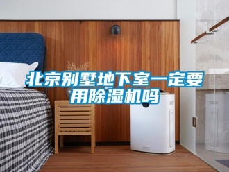 企业新闻北京别墅地下室一定要用除湿机吗