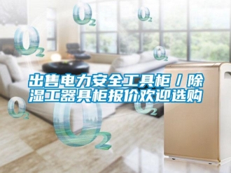 企业新闻出售电力安全工具柜／除湿工器具柜报价欢迎选购