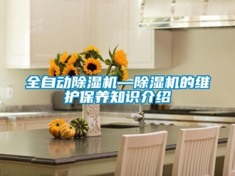 行业新闻全自动除湿机—除湿机的维护保养知识介绍