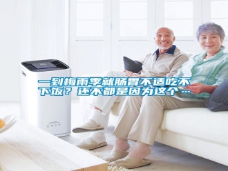 知识百科一到梅雨季就肠胃不适吃不下饭？还不都是因为这个…