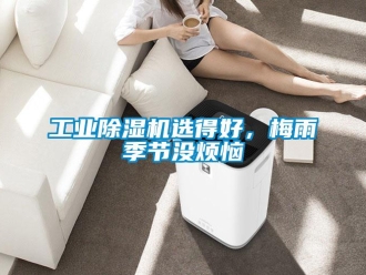 企业新闻工业除湿机选得好，梅雨季节没烦恼