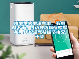 行业新闻梅雨季家里湿气重、衣服晒不干！3小技巧搞懂除湿机，摆脱湿气快速节电又干爽
