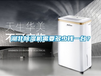 行业新闻湖北除湿机需要多少钱一台？