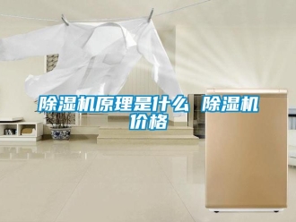 企业新闻除湿机原理是什么 除湿机价格