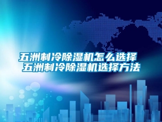 行业新闻五洲制冷除湿机怎么选择 五洲制冷除湿机选择方法