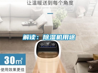 行业新闻解读：除湿机用途