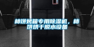 柿饼烤箱专用除湿机，柿饼烘干脱水设备