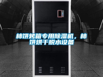 知识百科柿饼烤箱专用除湿机，柿饼烘干脱水设备