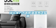 湖北步入式高低温湿热试验箱