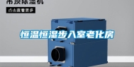 恒温恒湿步入室老化房