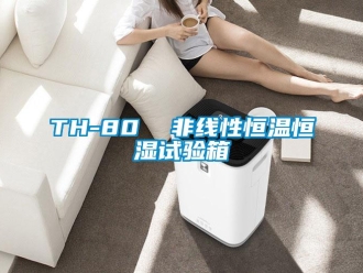 常见问题TH-80  非线性恒温恒湿试验箱