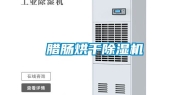 腊肠烘干除湿机